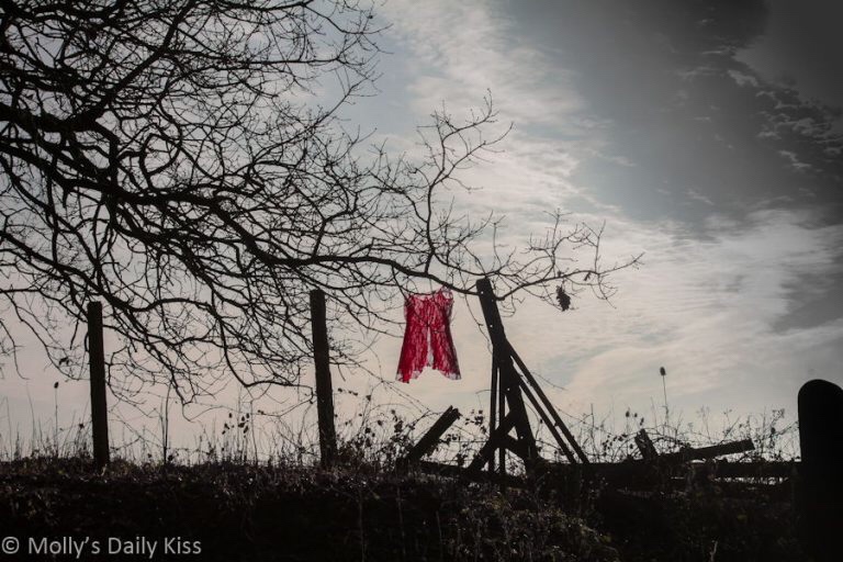 An image of some red underwear hanging from a tree